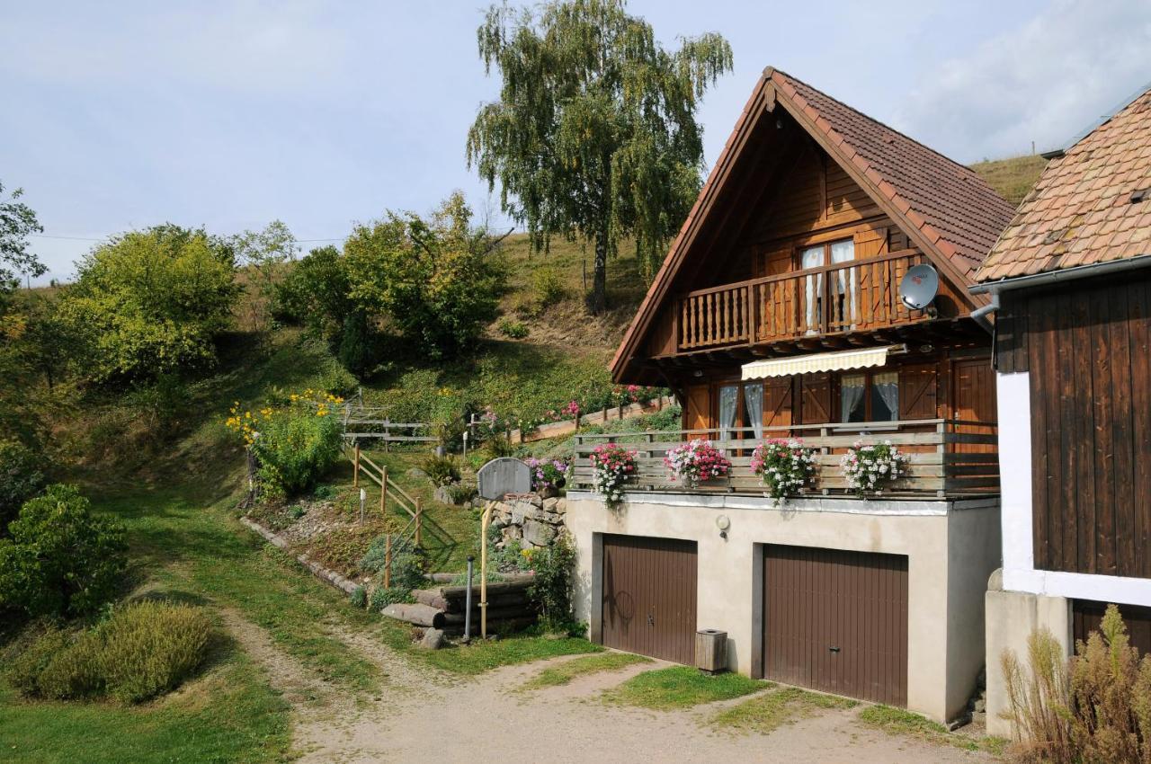 chalet-gite berbuche Sainte-Croix-aux-Mines Exterior foto