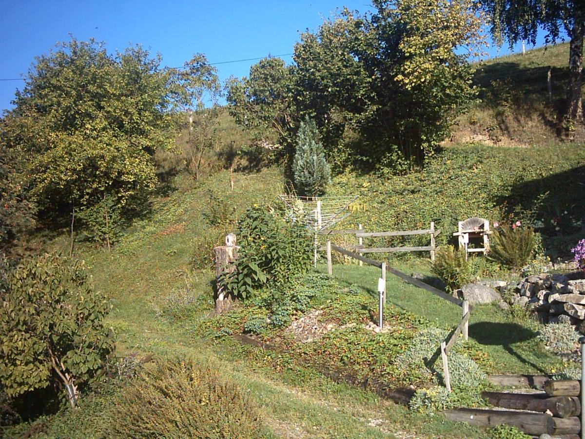chalet-gite berbuche Sainte-Croix-aux-Mines Exterior foto